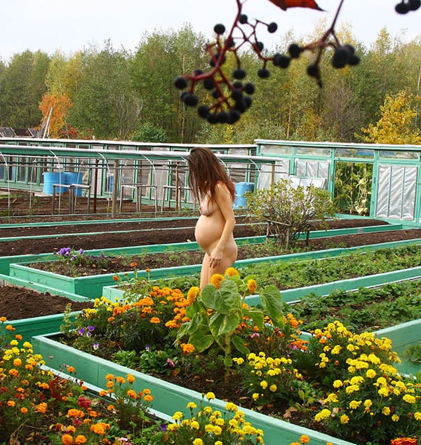 Беременная жена работает в огороде голая 43 фото